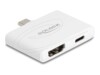 Delock Videoadapter
