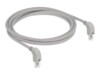 DeLOCK CAT 6 S/FTP 2m Patchkabel Grey