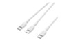 Belkin CAC004hq1.5MWH USB-C to 2 x USB-C 1,5m Hvid