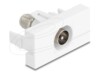Delock Easy 45 Module IEC male to F female white