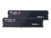G.Skill Ripjaws S5 DDR5 SDRAM 48GB kit 6400MHz CL32 On-die ECC DIMM 288-PIN