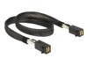 DeLOCK Serial Attached SCSI (SAS) internt kabel 50cm