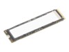 Lenovo 4XB1S30116 4TB M.2 PCI Express 5.0 (NVMe)