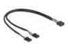 Delock USB internt kabel 30cm Sort