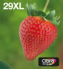 Epson Multipack 29XL Mail Sort Gul Cyan Magenta Blæk C13T29964511
