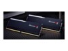 G.Skill Ripjaws M5 RGB DDR5 SDRAM 32GB kit 3200MHz CL32 Ikke-ECC DIMM 288-PIN