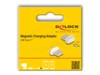 Delock Opladnings adapter Hvid