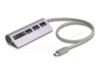 Delock Hub 3 porte USB