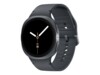 Samsung Galaxy Watch8 44 mm Grå SmartWatch