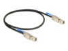 DeLOCK Serial Attached SCSI (SAS) eksternt kabel Sort 1m