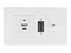 Delock Easy 45 Module Holder for installation trunking 130 x 80 mm