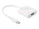 goobay Ekstern videoadapter