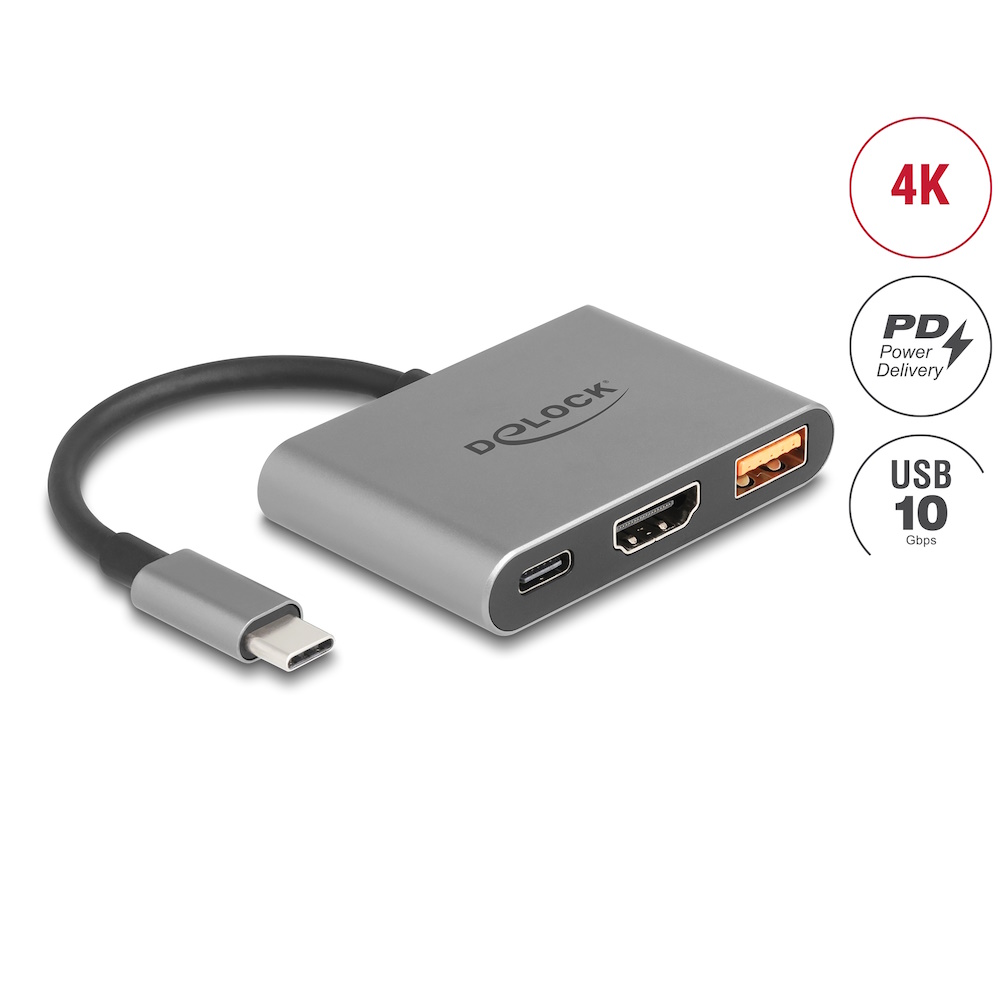 DeLOCK USB-C / Thunderbolt 3 / Thunderbolt 4 Dockingstation