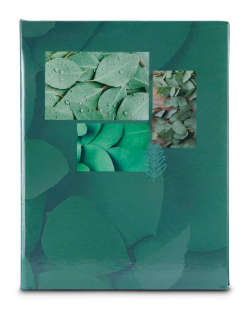 Hama Memo Singo II 10x15 100 Fotos Leaves 7633