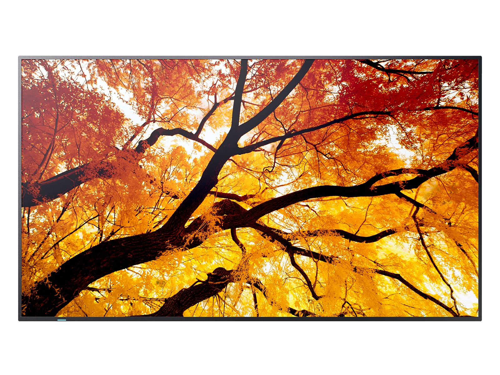 M862 86IN UHD LFD D-LED