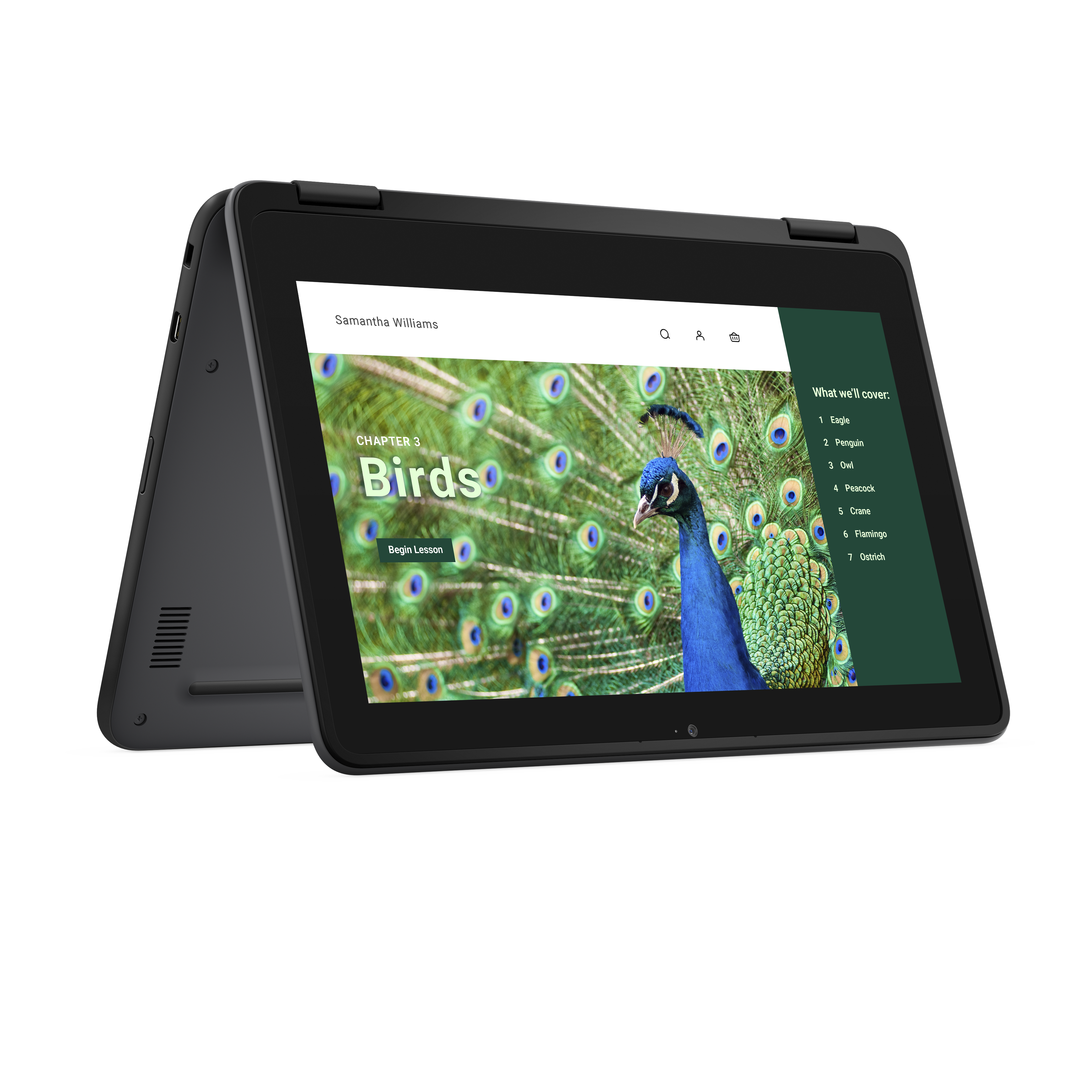 DELL Chromebook 3120 2-in-1 11.6' 1366 x 768 N100 4GB 64GB Intel UHD Graphics ChromeOS