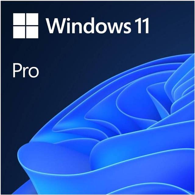 MS SB Windows 11 Pro 64bit [DE] DVD