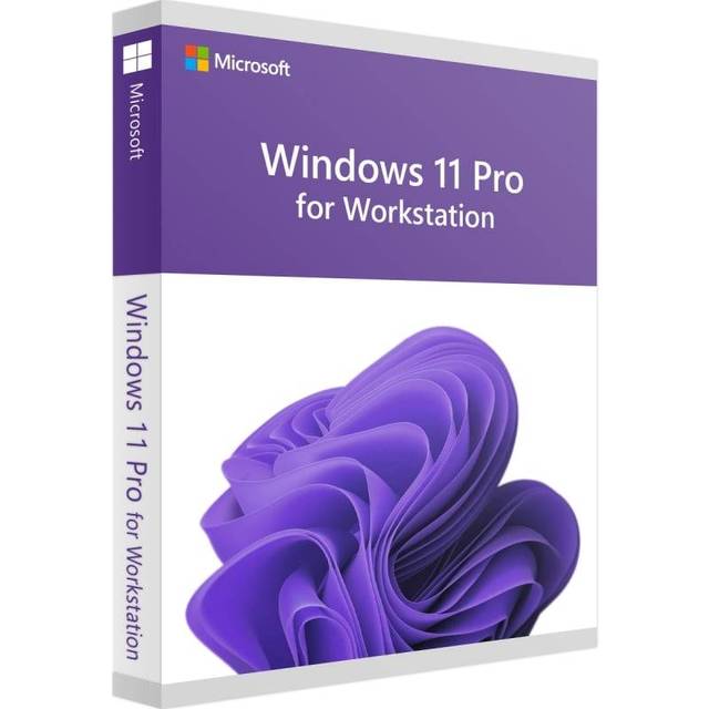 MS SB Windows 11 Pro for Workstations [DE] DVD